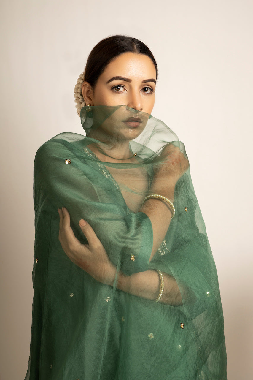 Green Phalak Chanderi Anarkali Set