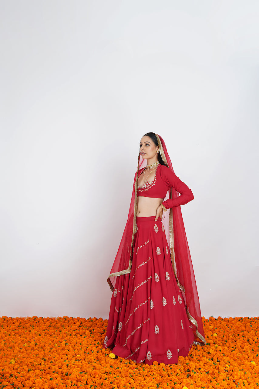 Raag Lehenga Set